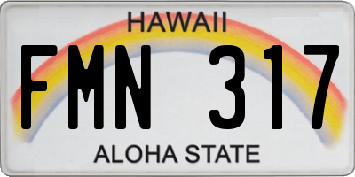 HI license plate FMN317