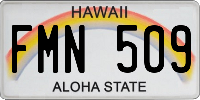 HI license plate FMN509