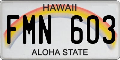 HI license plate FMN603