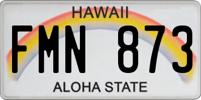 HI license plate FMN873