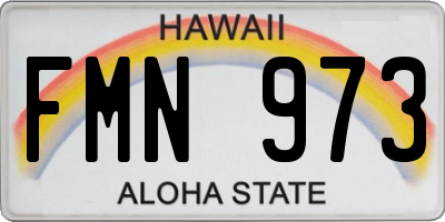 HI license plate FMN973