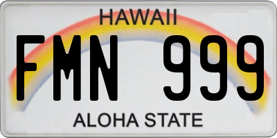 HI license plate FMN999