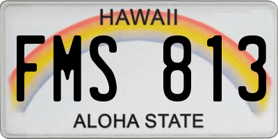 HI license plate FMS813