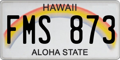 HI license plate FMS873