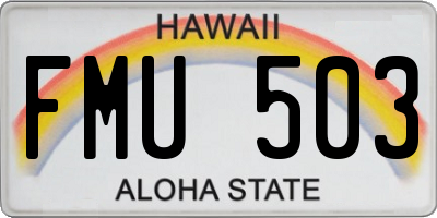 HI license plate FMU503