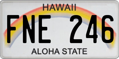 HI license plate FNE246