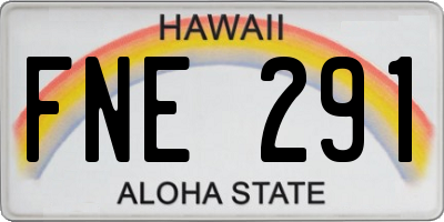 HI license plate FNE291