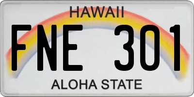 HI license plate FNE301