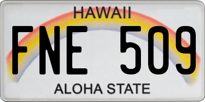 HI license plate FNE509