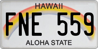 HI license plate FNE559