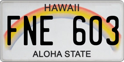 HI license plate FNE603