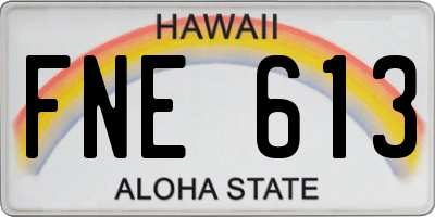 HI license plate FNE613