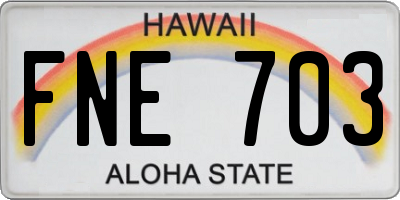 HI license plate FNE703