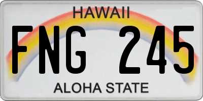 HI license plate FNG245