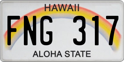 HI license plate FNG317