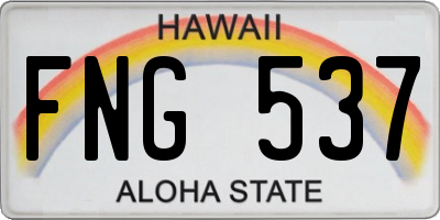 HI license plate FNG537