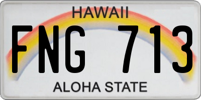 HI license plate FNG713