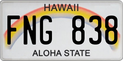 HI license plate FNG838
