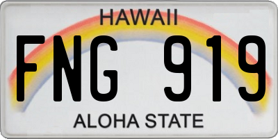 HI license plate FNG919