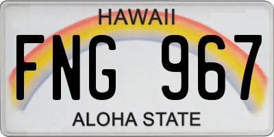 HI license plate FNG967