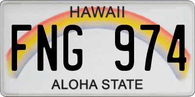 HI license plate FNG974