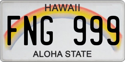 HI license plate FNG999