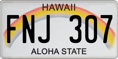 HI license plate FNJ307