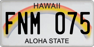 HI license plate FNM075
