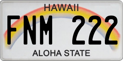 HI license plate FNM222