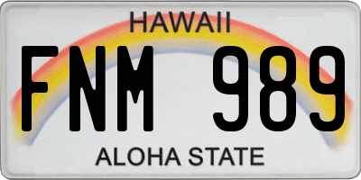 HI license plate FNM989