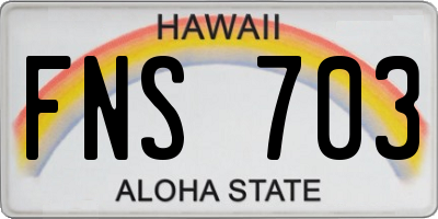 HI license plate FNS703