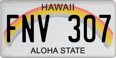 HI license plate FNV307