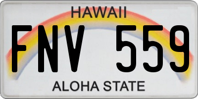 HI license plate FNV559