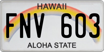 HI license plate FNV603