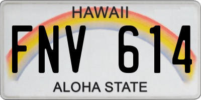 HI license plate FNV614