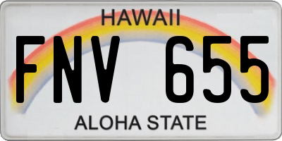 HI license plate FNV655