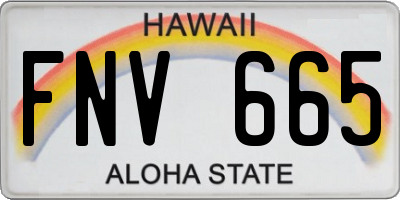 HI license plate FNV665