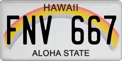 HI license plate FNV667