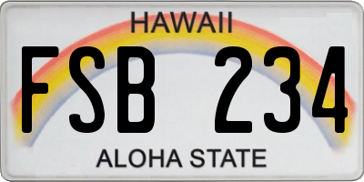 HI license plate FSB234
