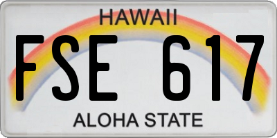 HI license plate FSE617
