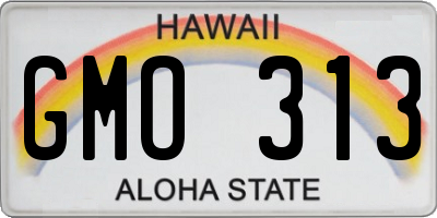 HI license plate GMO313