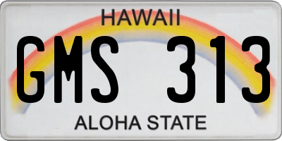 HI license plate GMS313
