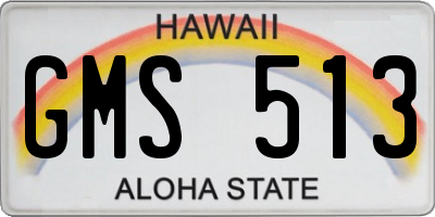 HI license plate GMS513