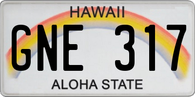 HI license plate GNE317