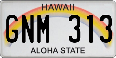 HI license plate GNM313