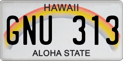 HI license plate GNU313