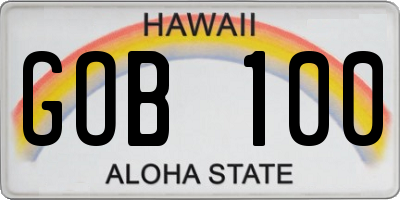 HI license plate GOB100