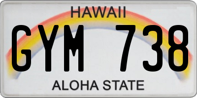 HI license plate GYM738