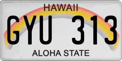HI license plate GYU313