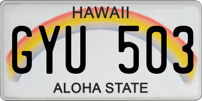 HI license plate GYU503